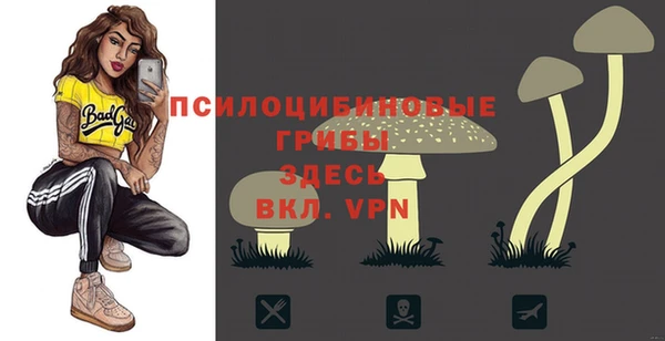 бутират Горнозаводск